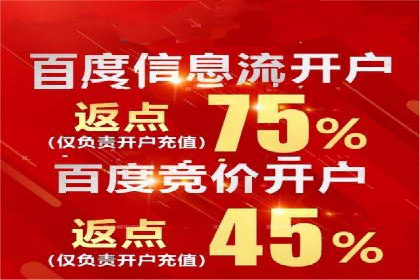 成功sem公司的策略与执行